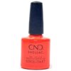 cnd shellac beach escape